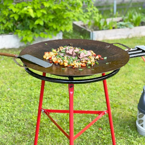 Bluegaz Timsfors Stegeplade sæt gas 70 cm - Image 9