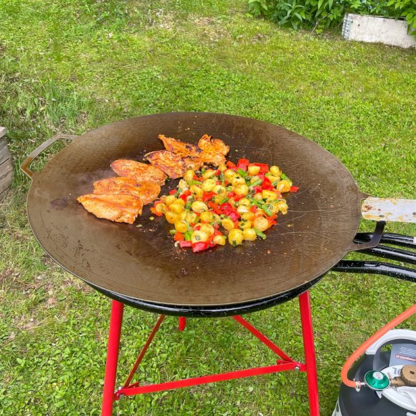 Bluegaz Timsfors Stegeplade sæt gas 70 cm - Image 14