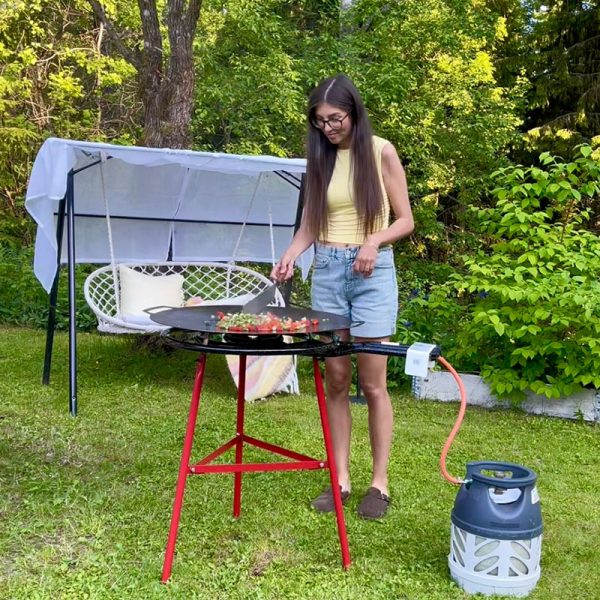 Bluegaz Timsfors Stegeplade sæt gas 70 cm - Image 5