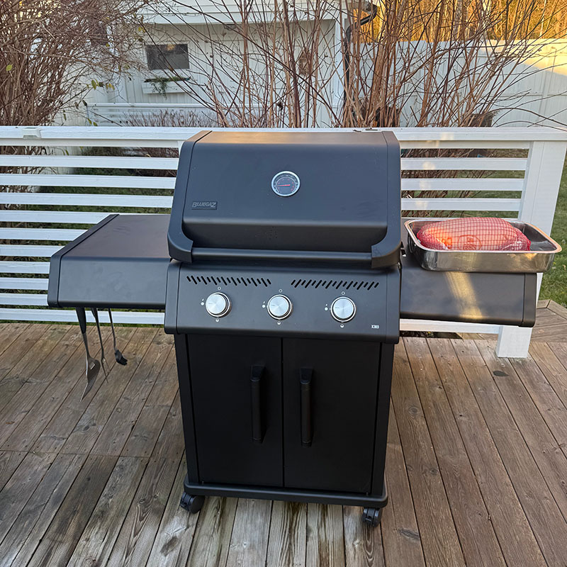 Bluegaz X300 Gasgrill - Billede 2