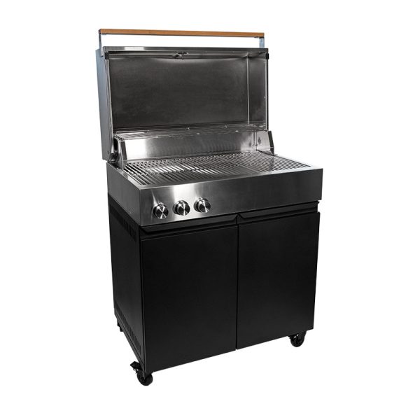 Bluegaz Z Gasgrill - Image 3