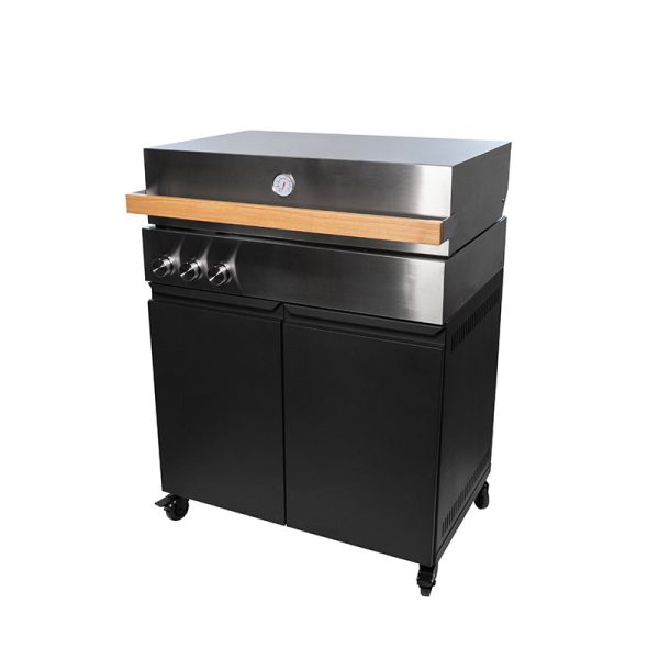 Bluegaz Z Gasgrill - Image 2