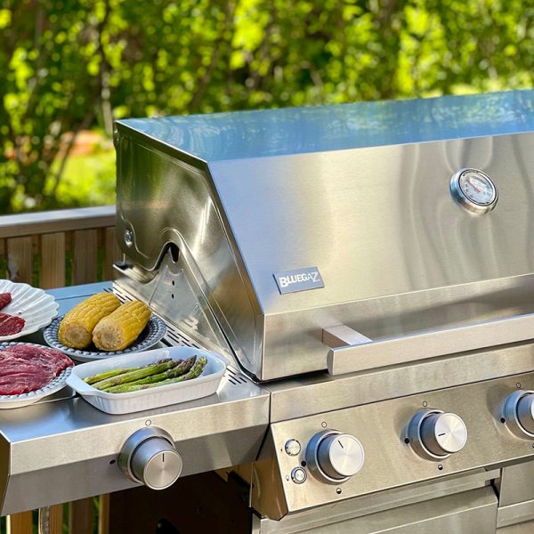 Bluegaz Z501 Gasgrill rustfrit - Image 25