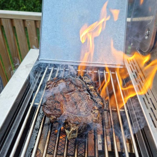 Bluegaz Z501 Gasgrill rustfrit - Image 28