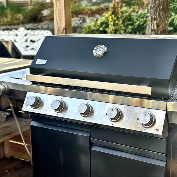 Bluegaz Z501 Gasgrill sort - Image 10